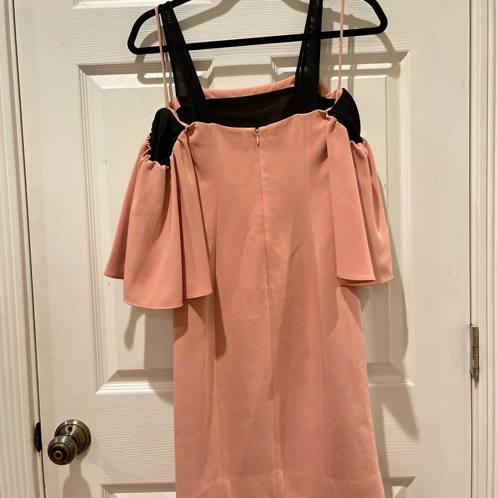 BLOGGERS FAVORITE Cinq a Sept Monroe Bloom Dress - Picture 6 of 9